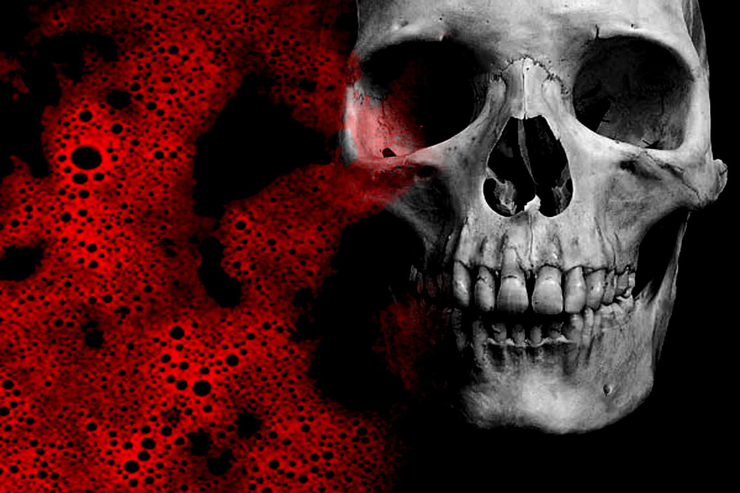 Pet Background