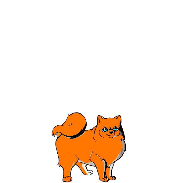 Pet