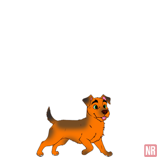 Pet Image