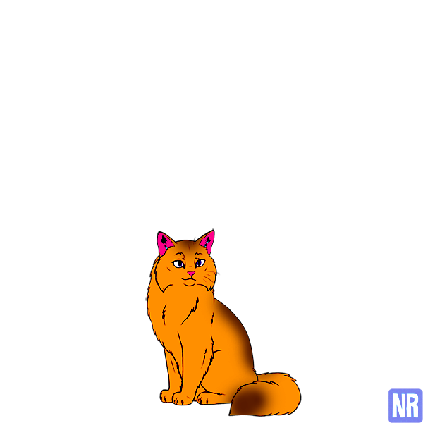 Pet Image