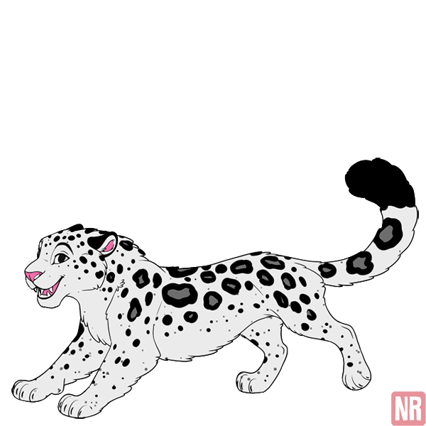 Pet Image