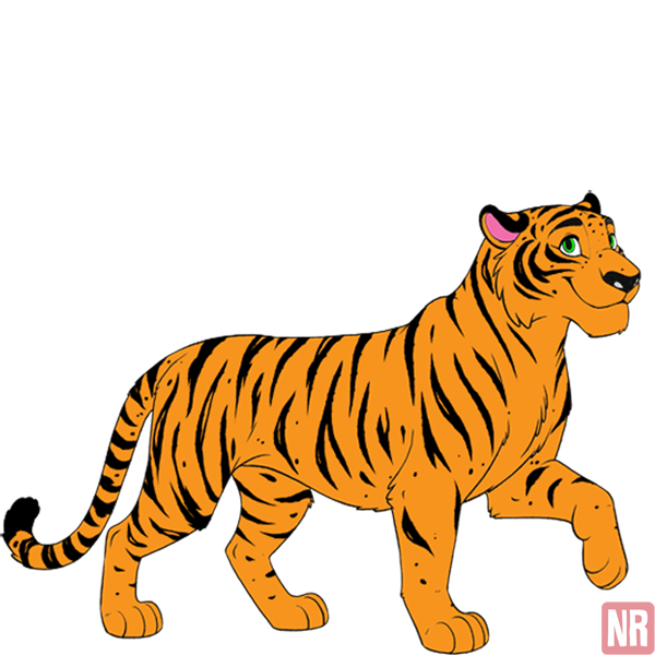Pet Image